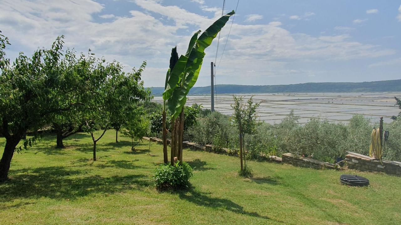 Apartment Laurus Portoroz Exterior photo